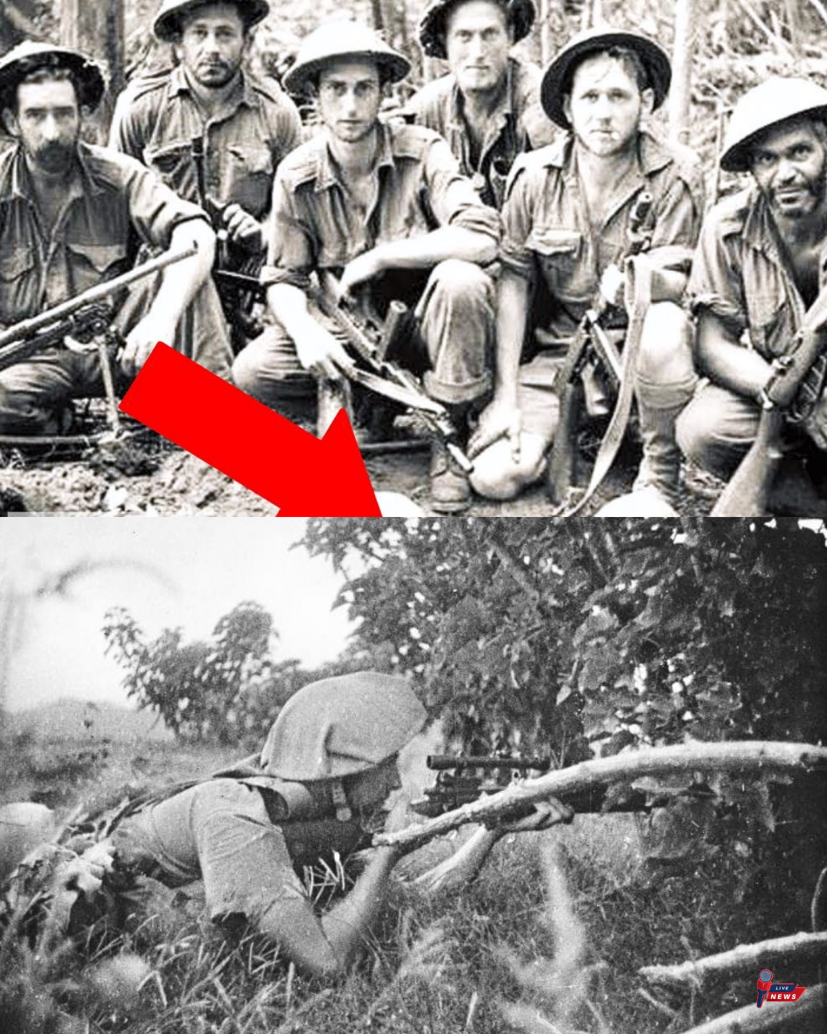 Australian Genius Guerrilla Tactics That Completely Wrecked Japan