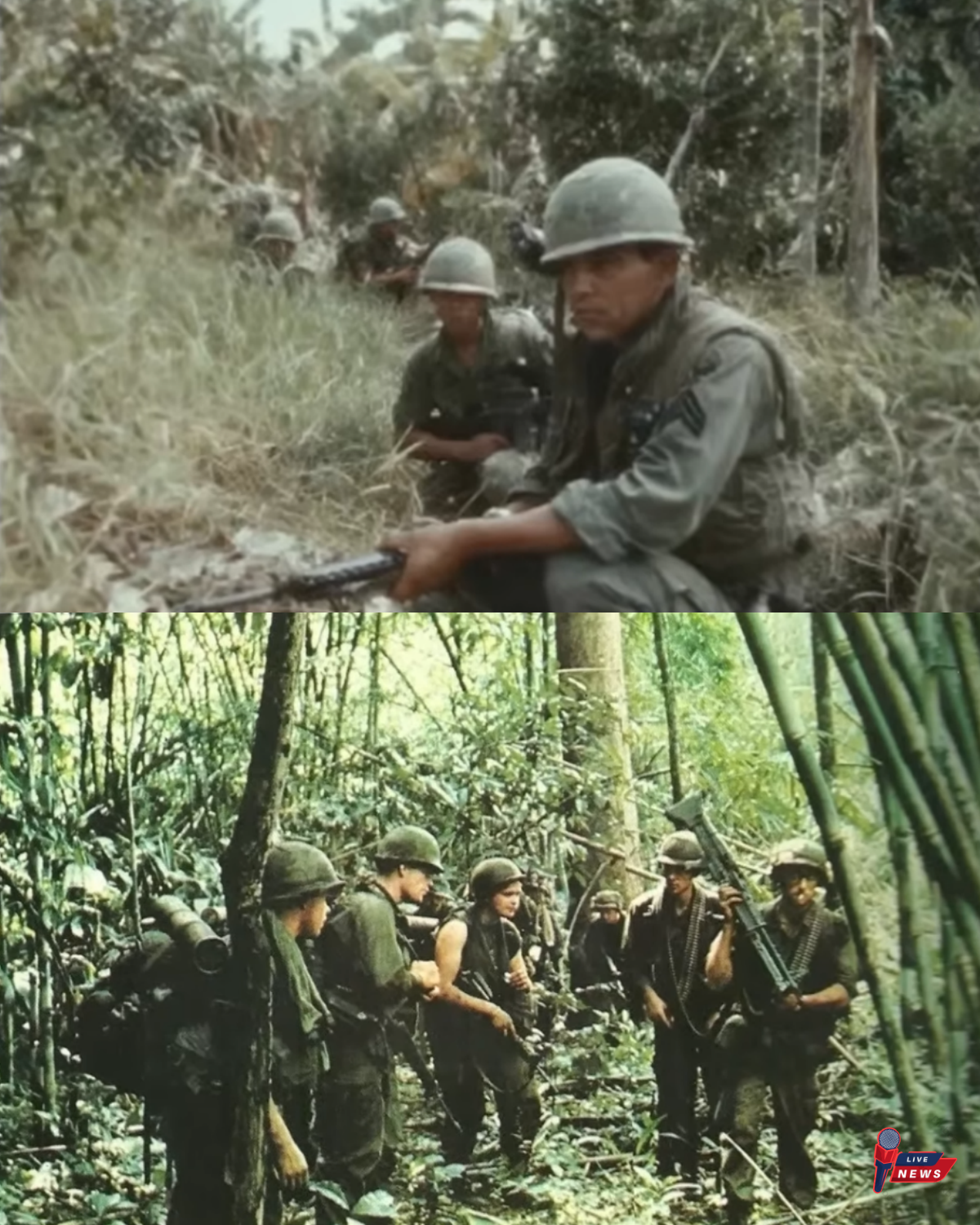 “He Used Snakes As Weapons” – The Australian SAS Raid That Made MACV-SOG Speechless