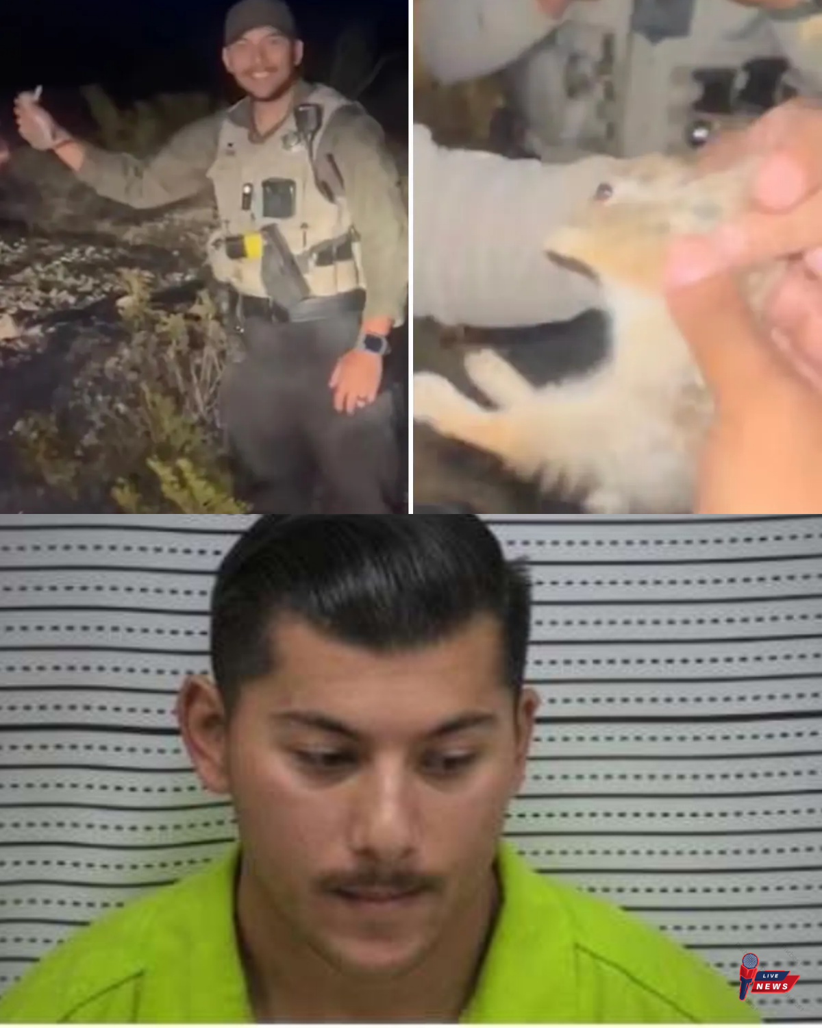 Deputy Charged After Sick Bunny Video Goes Viral