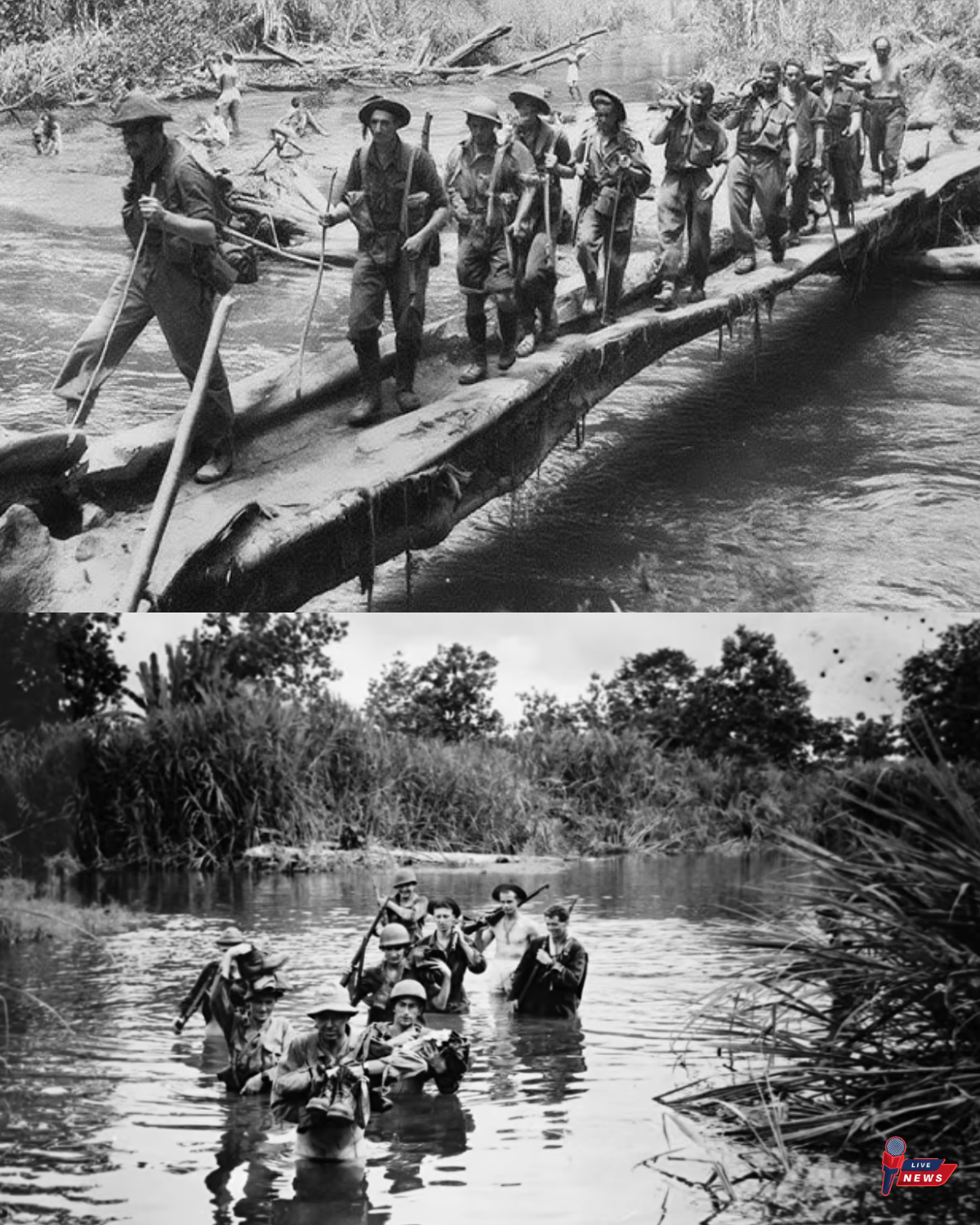 “They Are Demons”: Why Japanese Feared Australians More Than US Army