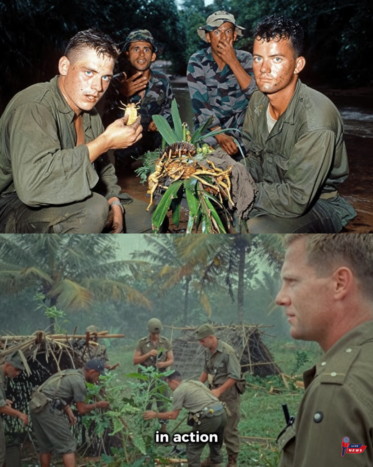 “They Eat The Jungle” — The “Disgusting” Australian Survival Skills That Shocked US Navy SEALs