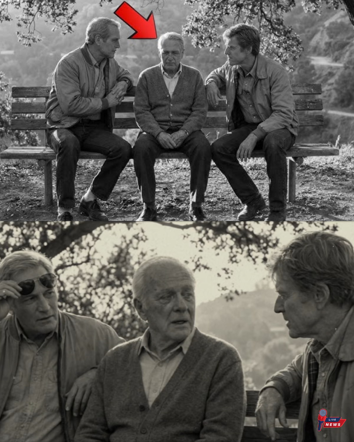 Widower Sat Alone Every Day at the Same Bench — Paul and Robert Noticed What Nobody Else Did